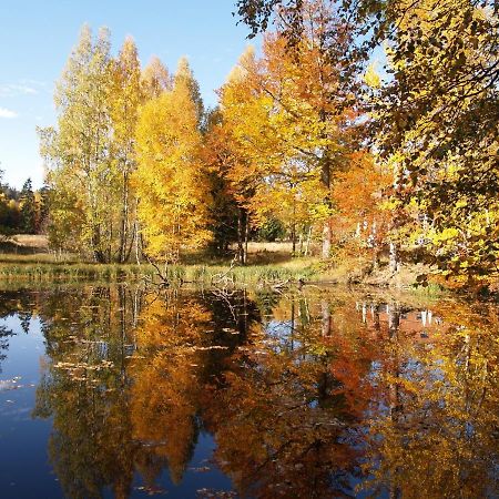 Fischer Clausthal-Zellerfeld Dış mekan fotoğraf